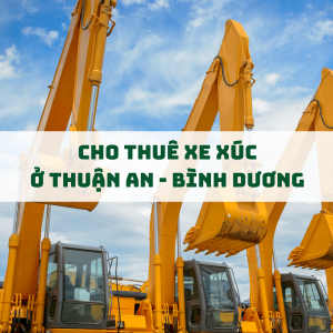 dich-vu-thue-xe-xuc-tai-thuan-an-binh-duong-nhanh-chong-uy-tin-gia-tot