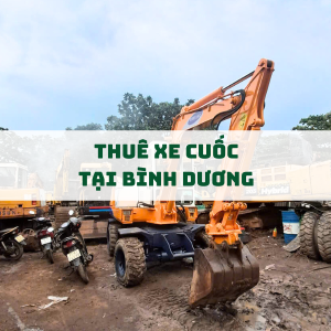 dich-vu-thue-xe-cuoc-tai-binh-duong-nhanh-chong-uy-tin-gia-tot
