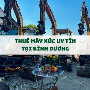 dich-vu-thue-may-xuc-tai-binh-duong-gia-tot-may-moc-hien-dai-ho-tro-nhanh-chong