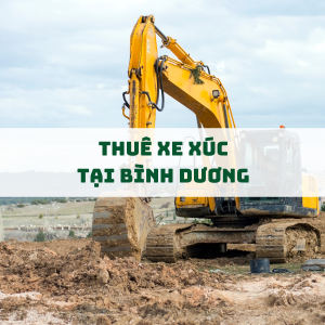 dich-vu-thue-xe-xuc-tai-binh-duong-nhanh-chong-uy-tin-gia-tot