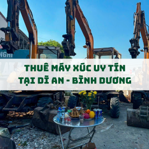 dich-vu-thue-may-xuc-tai-di-an-binh-duong-gia-tot-may-moc-hien-dai-ho-tro-nhanh-chong