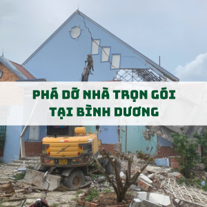 dich-vu-pha-do-nha-tron-goi-tai-binh-duong-nhanh-chong-an-toan-gia-hop-ly