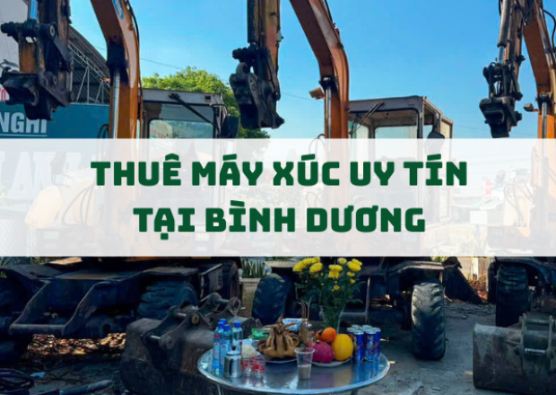 Dịch Vụ Thuê Máy Xúc Tại Bình Dương – Giá Tốt, Máy Móc Hiện Đại, Hỗ Trợ Nhanh Chóng