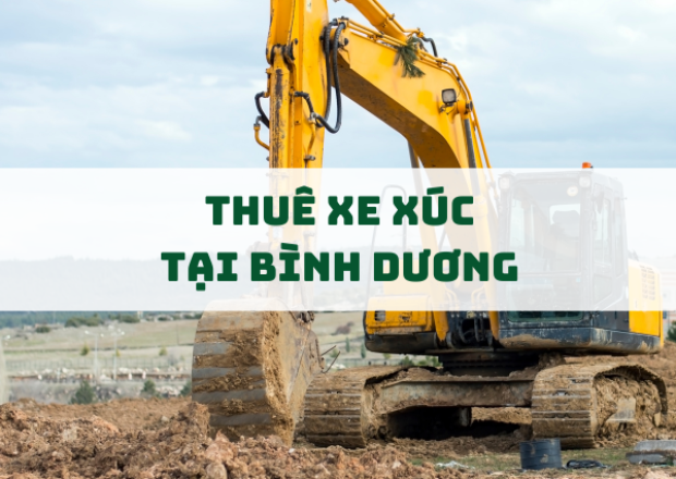 Dịch Vụ Thuê Xe Xúc Tại Bình Dương – Nhanh Chóng, Uy Tín, Giá Tốt